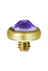 Gold PVD Tête de dermal Gold Pvd diamant