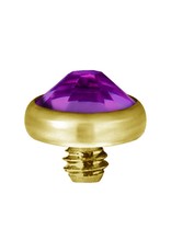 Gold PVD Tête de dermal Gold Pvd diamant