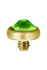 Gold PVD Tête de dermal Gold Pvd diamant