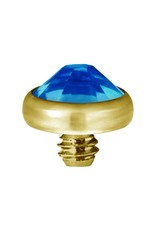 Gold PVD Tête de dermal Gold Pvd diamant