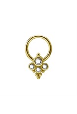 Stainless Clicker Cluster Style,16ga/8mm