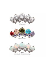 Embout Threaded Titanium Couronne