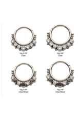 Clicker, Titanium with 7 Cluster Bezel Set CZ & Beads Front Facing Hinged Segment