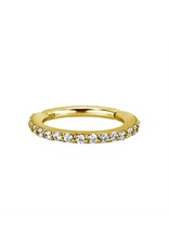 Stainless Clickers Diamant complet