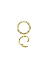 Stainless Anneau Clicker