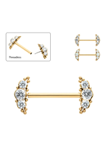 Barbell 14ga/16mm Titanium Gold Beds&Bezel