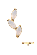 Embout Threaded Gold Titanium 3 petites marquises