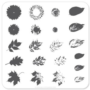 Clear Jelly Stamper Canada Steel Stamping Plates (6cm x 6cm) CJS-26 Sunflower and Leaves