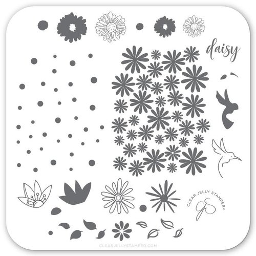 Clear Jelly Stamper Canada Steel Stamping Plates (6cm x 6cm) CjS-113 Daisy Do, Daisy Don’t