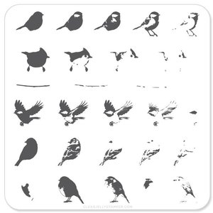 Clear Jelly Stamper Canada Steel Stamping Plates (6cm x 6cm) CjS-30 Itty Bitty Birds