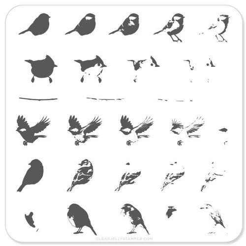 Clear Jelly Stamper Canada Steel Stamping Plates (6cm x 6cm) CjS-30 Itty Bitty Birds