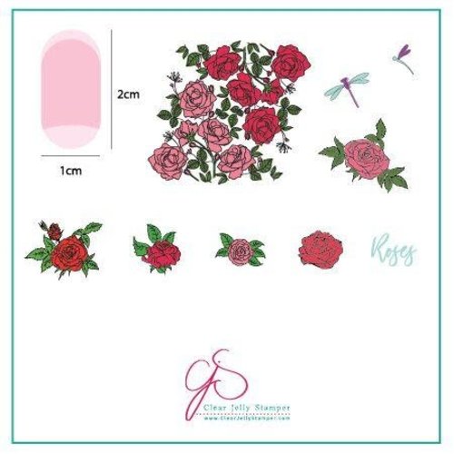 Clear Jelly Stamper Canada Steel Stamping Plates (6cm x 6cm) CjS-112 Painting the Roses Red