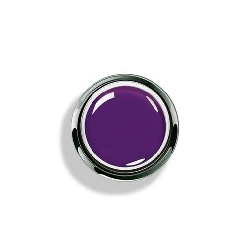Akzentz Professional Gel Play Paint- Purple 4g Akzentz Professional Gel Play Paint- Purple 4g