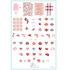 Clear Jelly Stamper Canada Patterned Valentines (CjSV-34) Steel Nail Art Stamping Plate