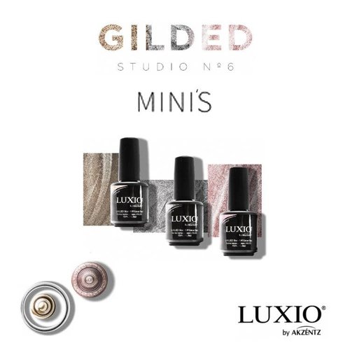 Akzentz Professional Luxio Gilded Studio 6 Collection (Mini Set)
