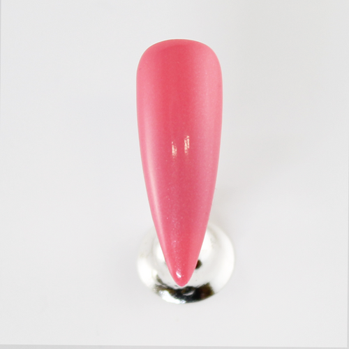 Fuzion Fuzion Paintz Coral 101 Fuzion Fuzion Paintz Coral 101