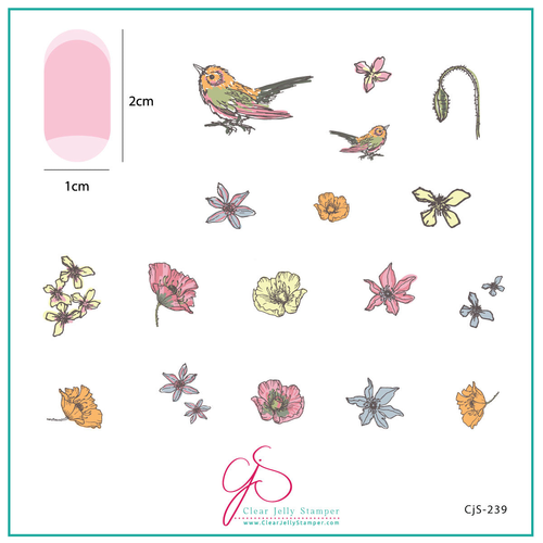 Clear Jelly Stamper Canada Sweet Tweet (CjS-239) Steel Nail Art Stamping Plate Clear Jelly Stamper Canada Sweet Tweet (CjS-239) Steel Nail Art Stamping Plate