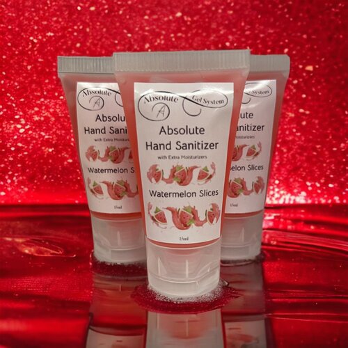 Absolute Gel System Absolute Hand Sanitizer (Watermelon Slices) 15ml Absolute Gel System Absolute Hand Sanitizer (Watermelon Slices) 15ml