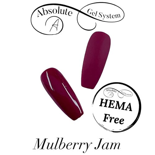 Absolute Gel System Absolute Mulberry Jam HEMA Free15ml