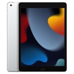 Apple Apple 10.2-inch iPad 9th Gen Wi-Fi 64GB - Silver MK2L3VC/A
