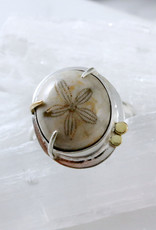 Catherine Chandler Size 6 Fossilized Sand Dollar Ring in Sterling Silver and 14K Gold - CCJ