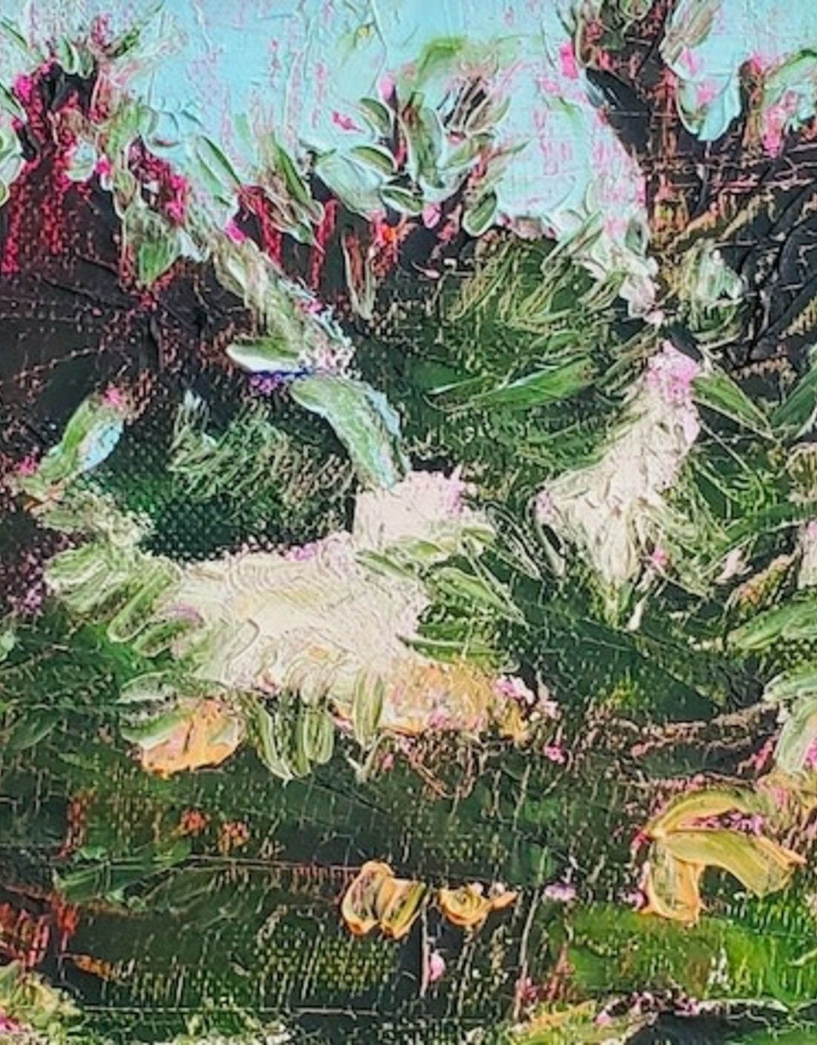 Nancy Smith Klos Coast Pines at Dusk oil painting