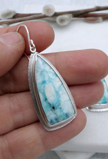 Catherine Chandler Glacier Earrings in Blue Opalized Wood and Sterling Silver - CCJ
