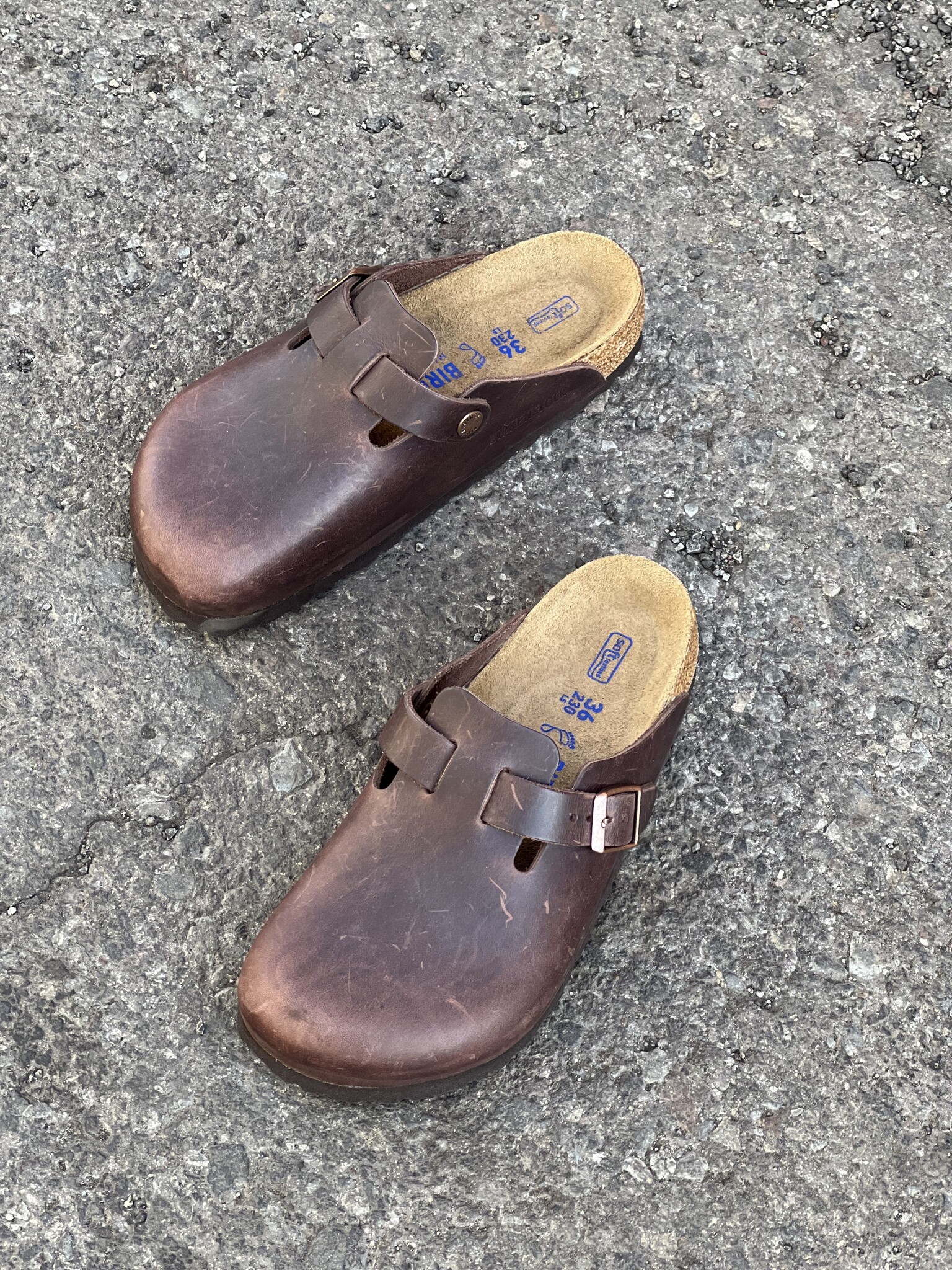 Boston Oiled Leather SFB - Shoes & Such