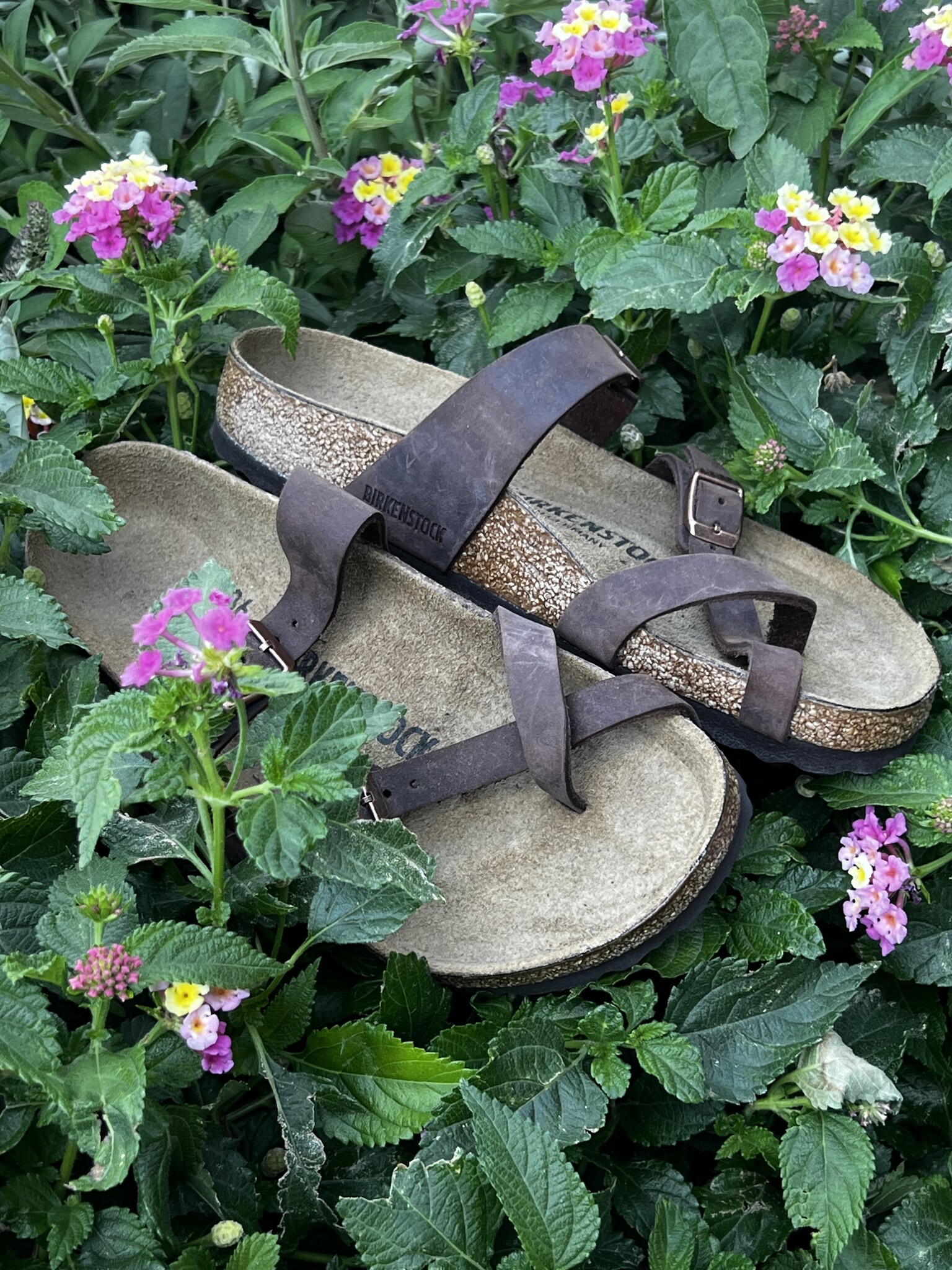 Mayari Oiled Leather Shoes Such Clothing Boutique Shoes Such