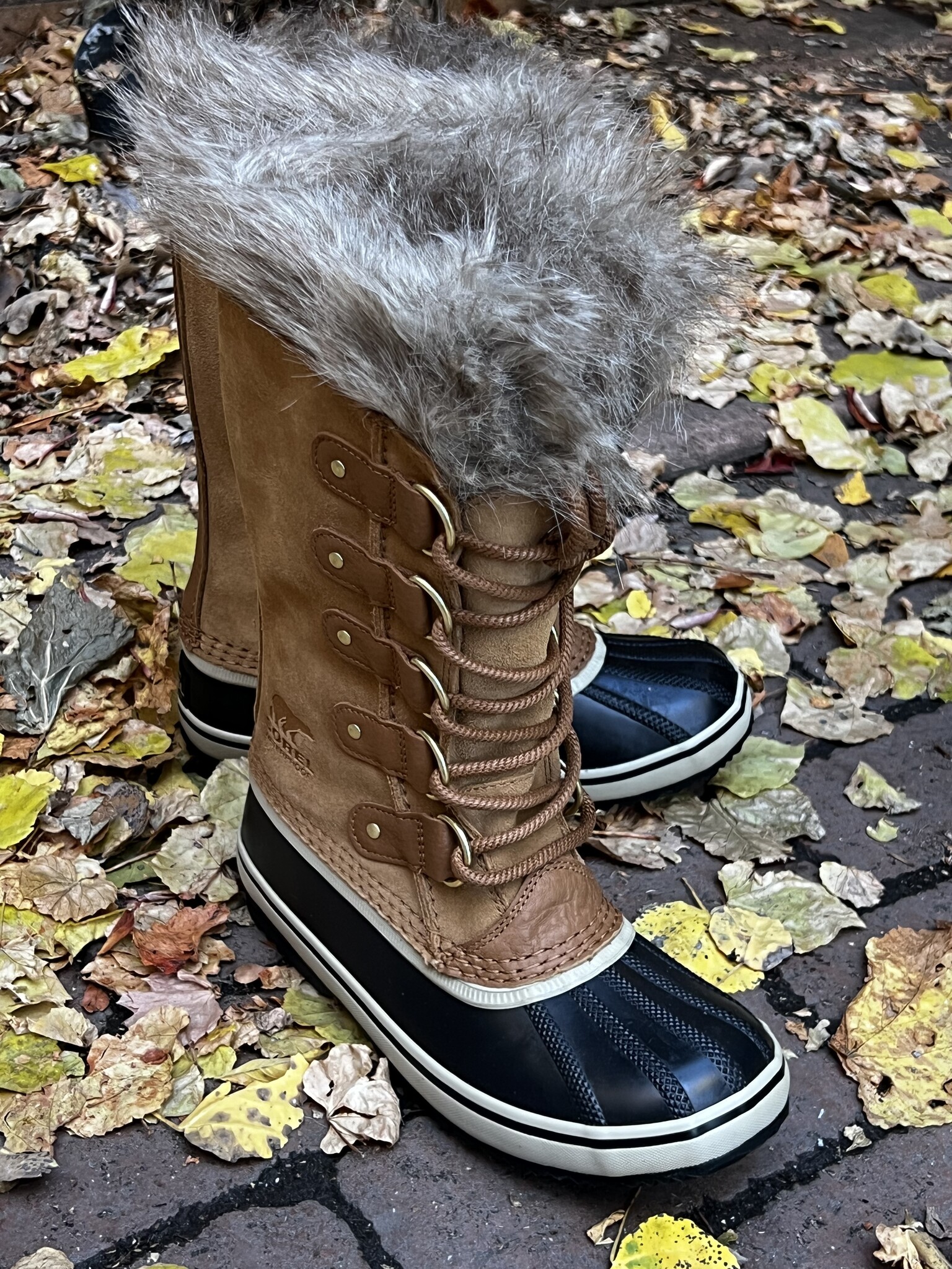 Joan of Arctic Shoes Such