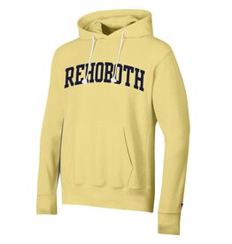 CHAMPION CHAMPION VINTAGE CLOUD WASH HOODIE