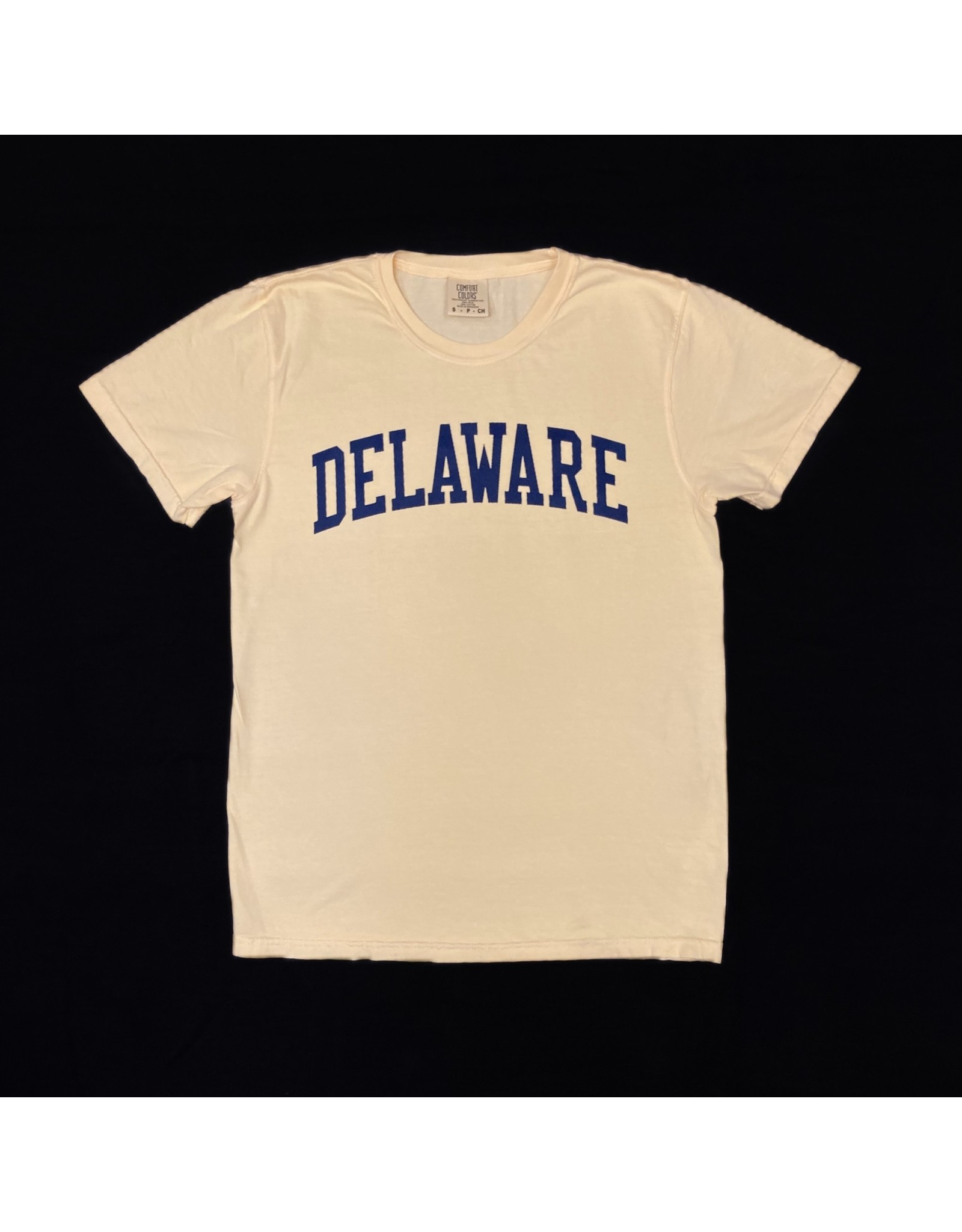 REHOBOTH LIFESTYLE MENS CLASSIC DELAWARE SS TEE