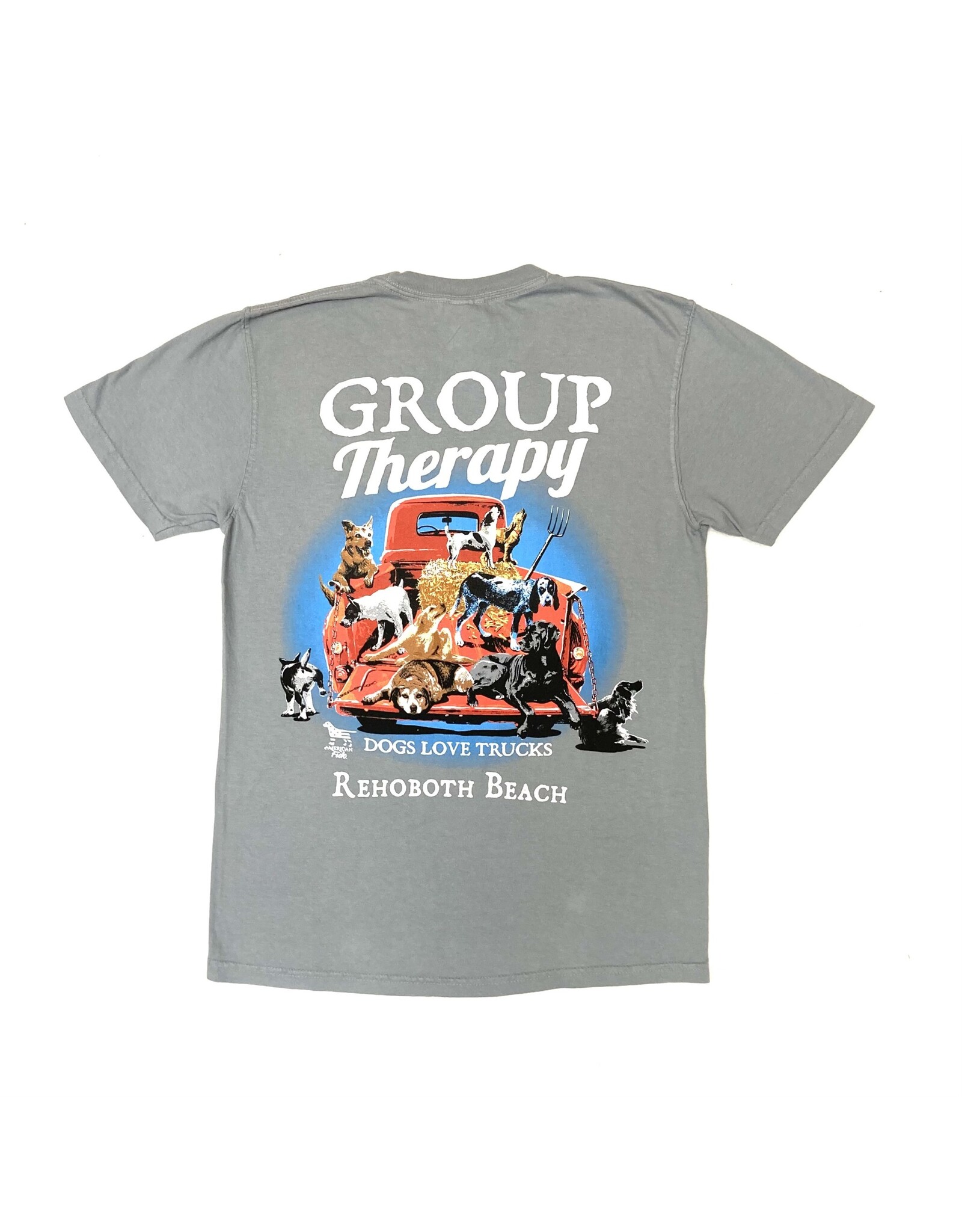 AMERICAN FIDO GROUP THERAPY SS TEE