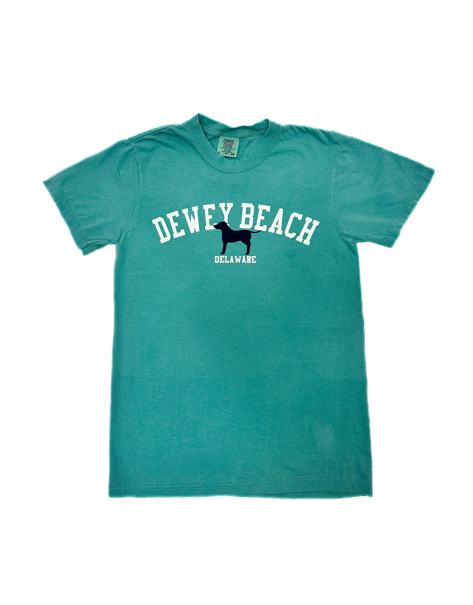 REHOBOTH LIFESTYLE MENS CLASSIC DEWEY BEACH SS TEE