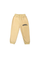 WILD PALMS YOUTH FLEECE ARCH SWEATPANTS