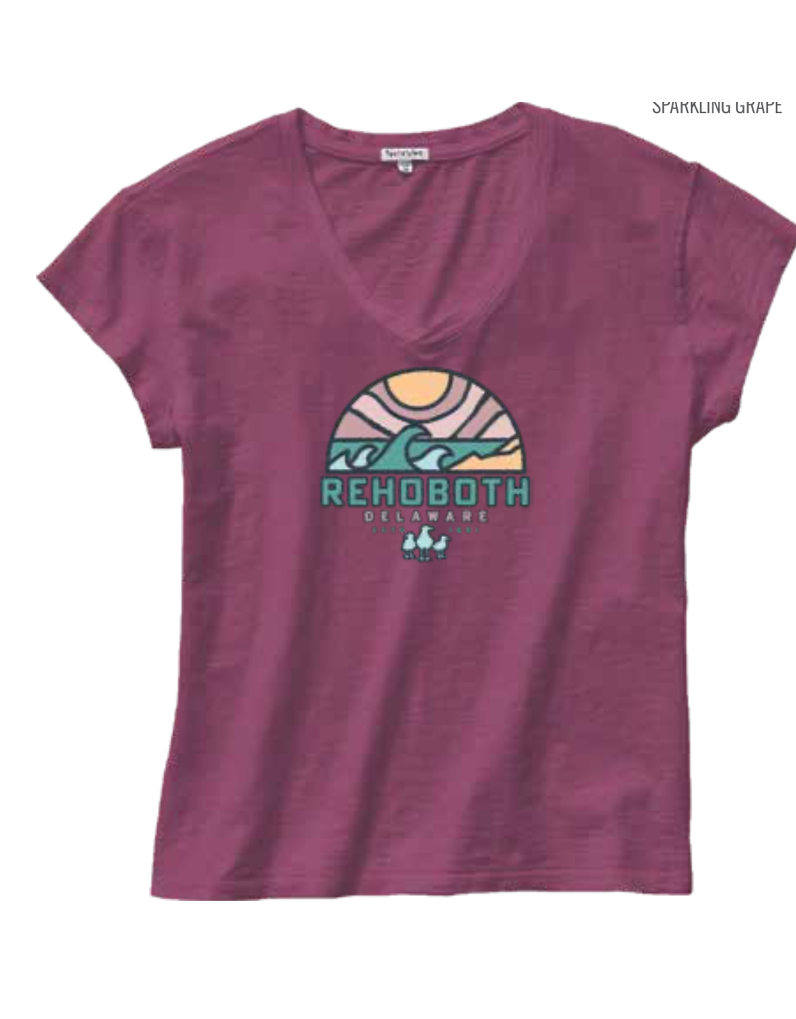 TECHSTYLES PIGMENT DYED FURTHER GULLS VNECK SS TEE