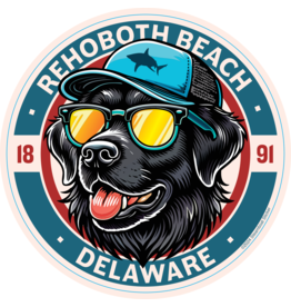 STEAMBOAT STICKERS BEACH STICKER ALL AMERICAN LAB