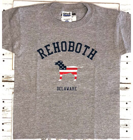 REHOBOTH LIFESTYLE YOUTH CLASSIC GREY SS TEE