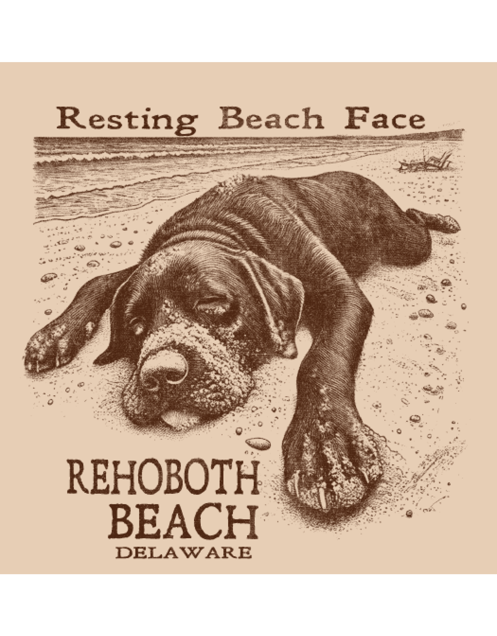 HIGH RANGE DESIGNS BEACH STICKER RESTING BEACH FACE