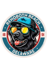 STEAMBOAT STICKERS ACRYLIC MAGNET ALL AMERICAN LAB