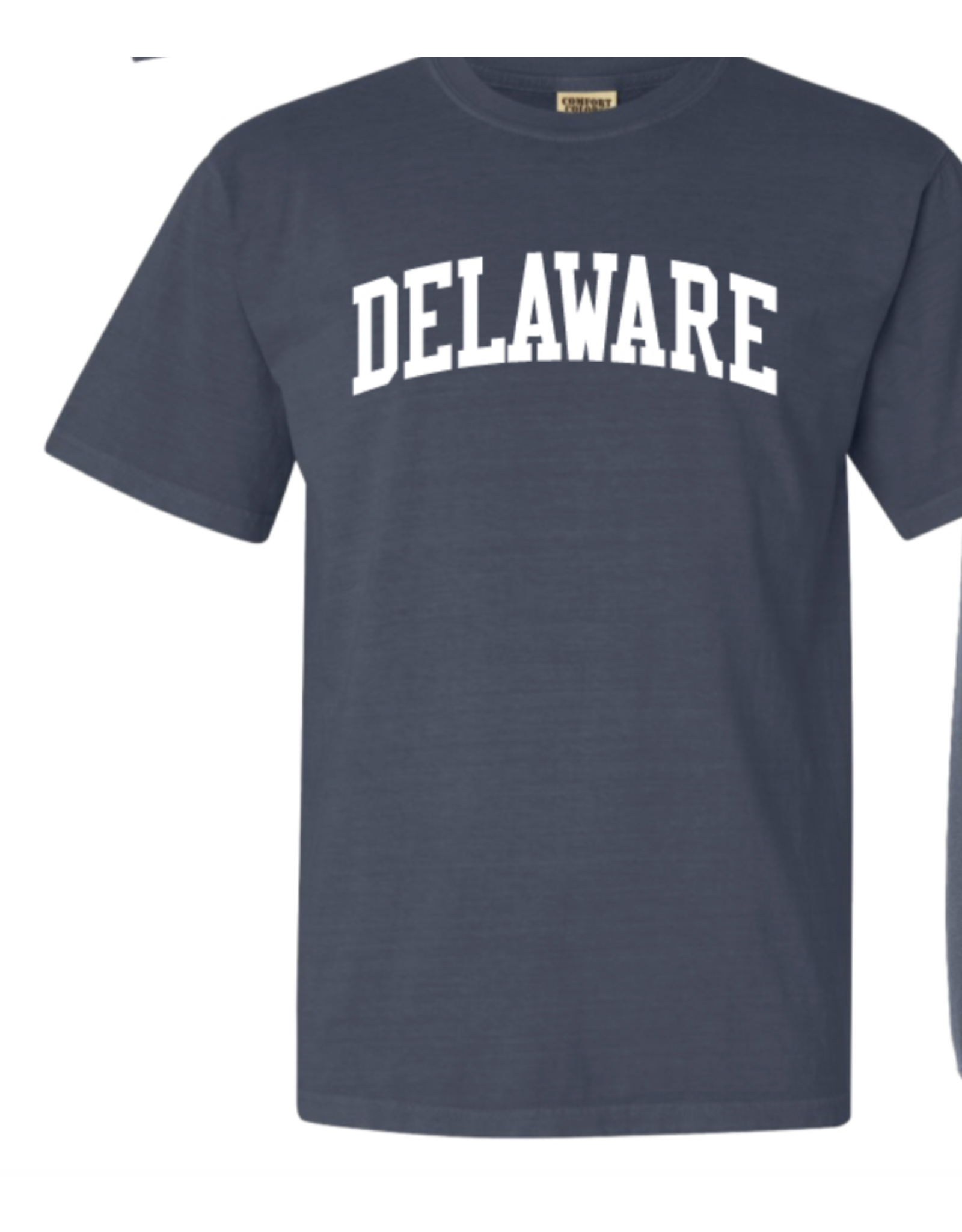 REHOBOTH LIFESTYLE CLASSIC DELAWARE SS TEE