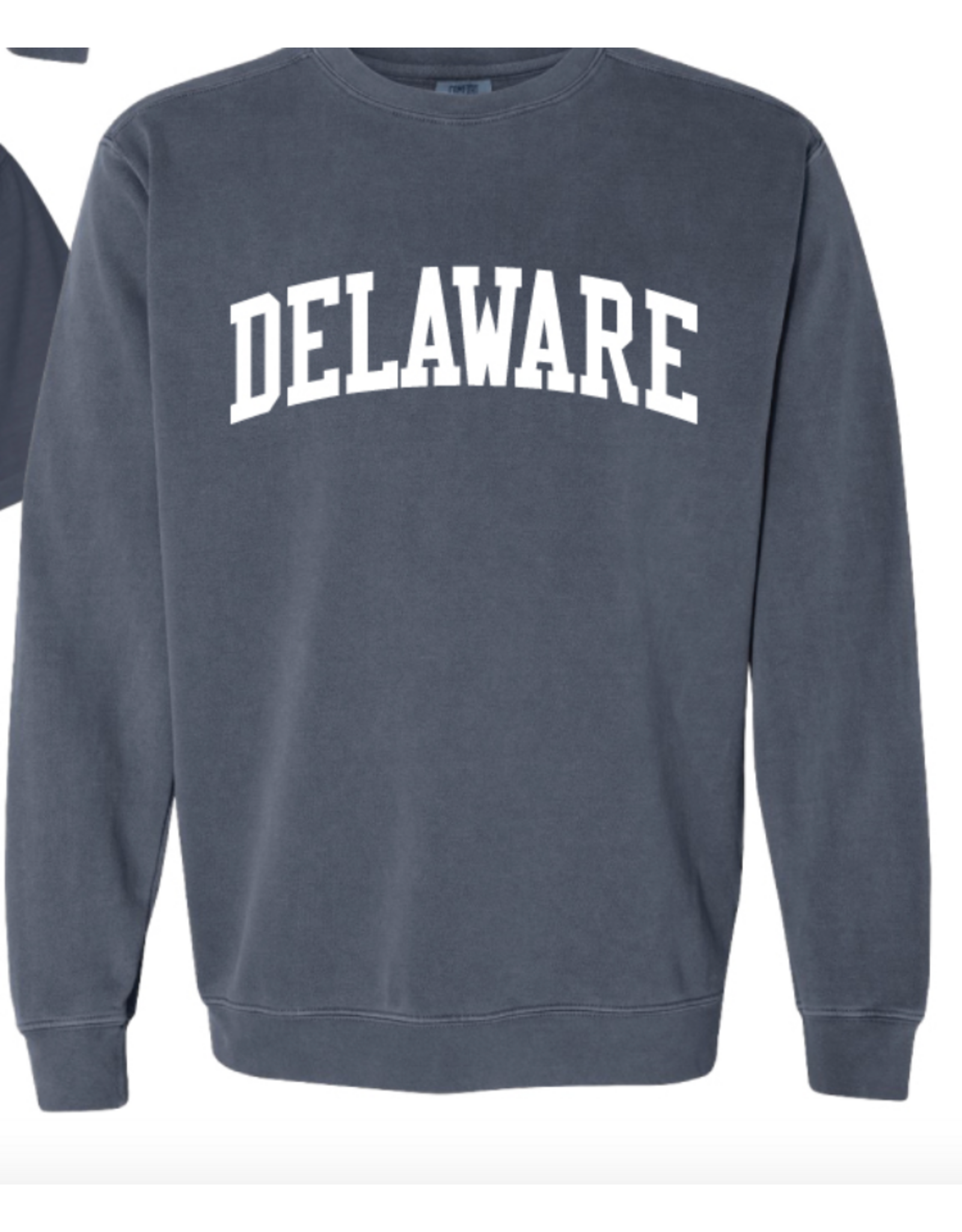REHOBOTH LIFESTYLE CLASSIC DELAWARE CREWNECK