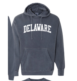 REHOBOTH LIFESTYLE CLASSIC DELAWARE HOODIE