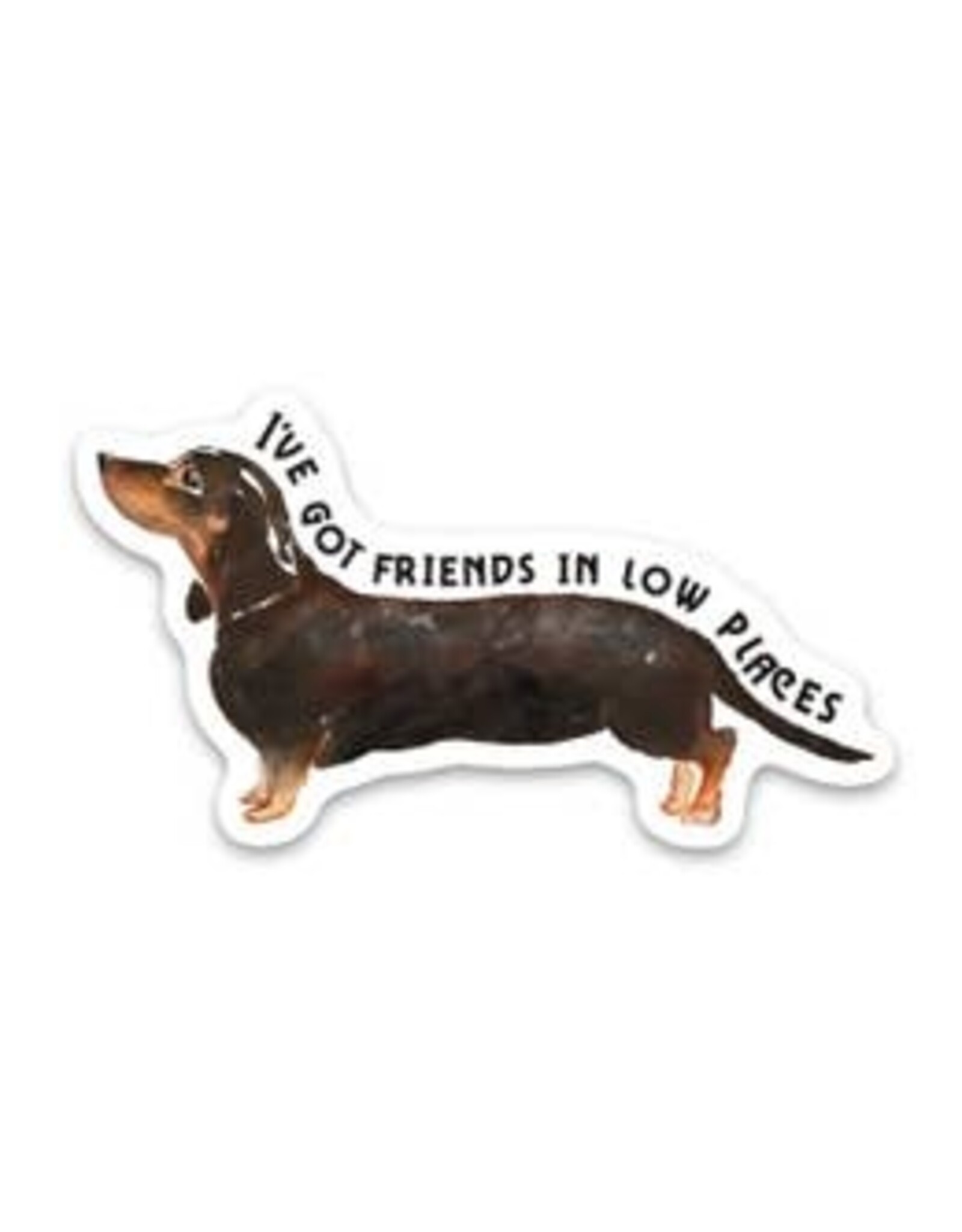 SCENIC ROUTE NOVELTY STICKER FRIENDS IN LOW PLACES WIENER DOG