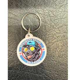 STEAMBOAT STICKERS ACRYLIC KEYCHAIN ALL AMERICAN LAB