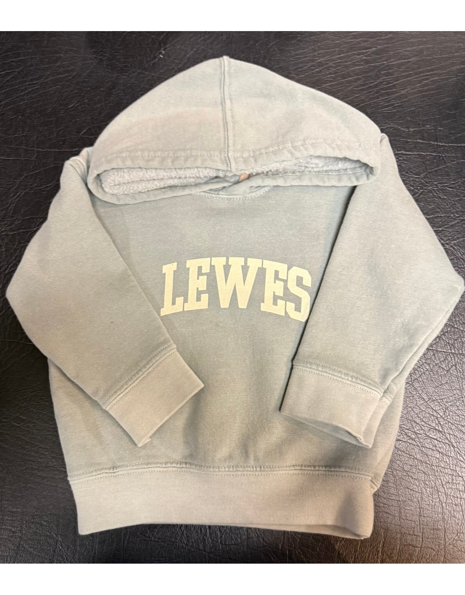 REHOBOTH LIFESTYLE LEWES INFANT CLASSIC HOOD
