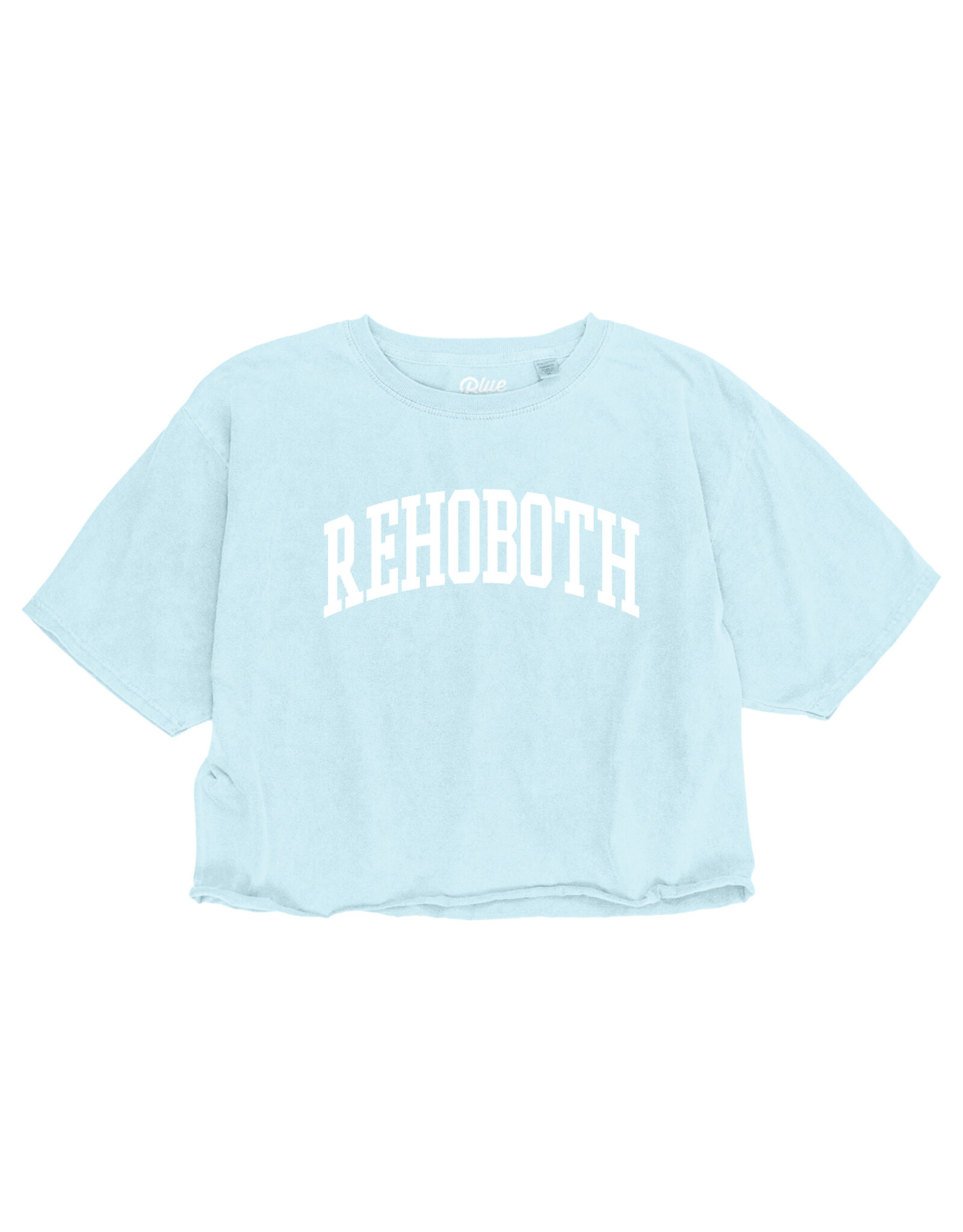 BLUE 84 CROP IVY LEAGUE SS TEE