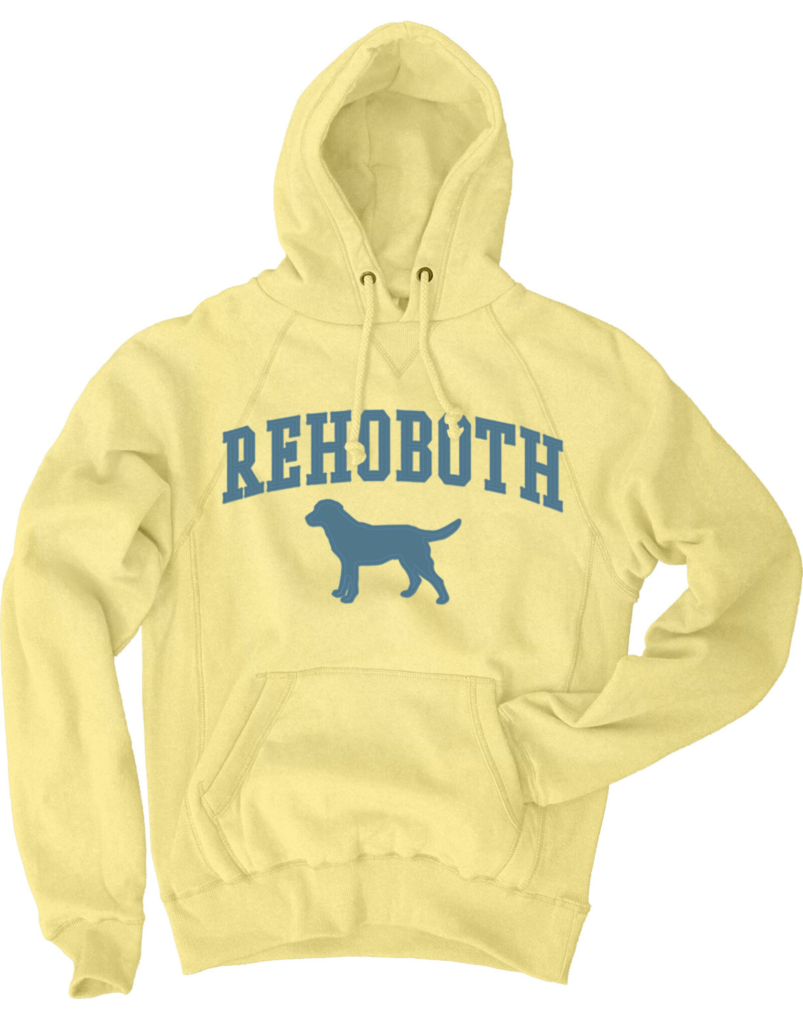 BLUE 84 DOUBLE TIME LAB SOFT HOODIE