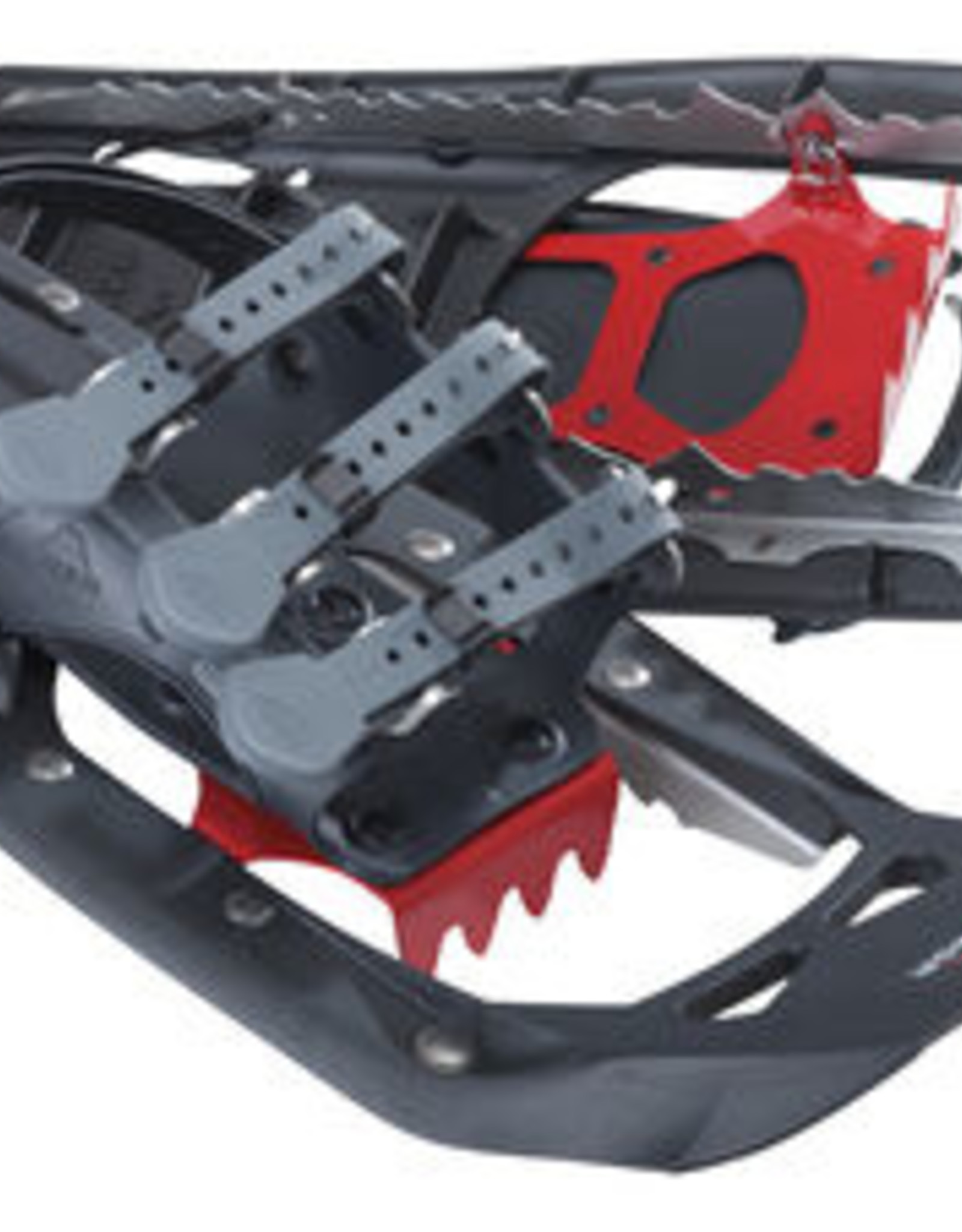 MSR 2022 Evo Ascent 22\