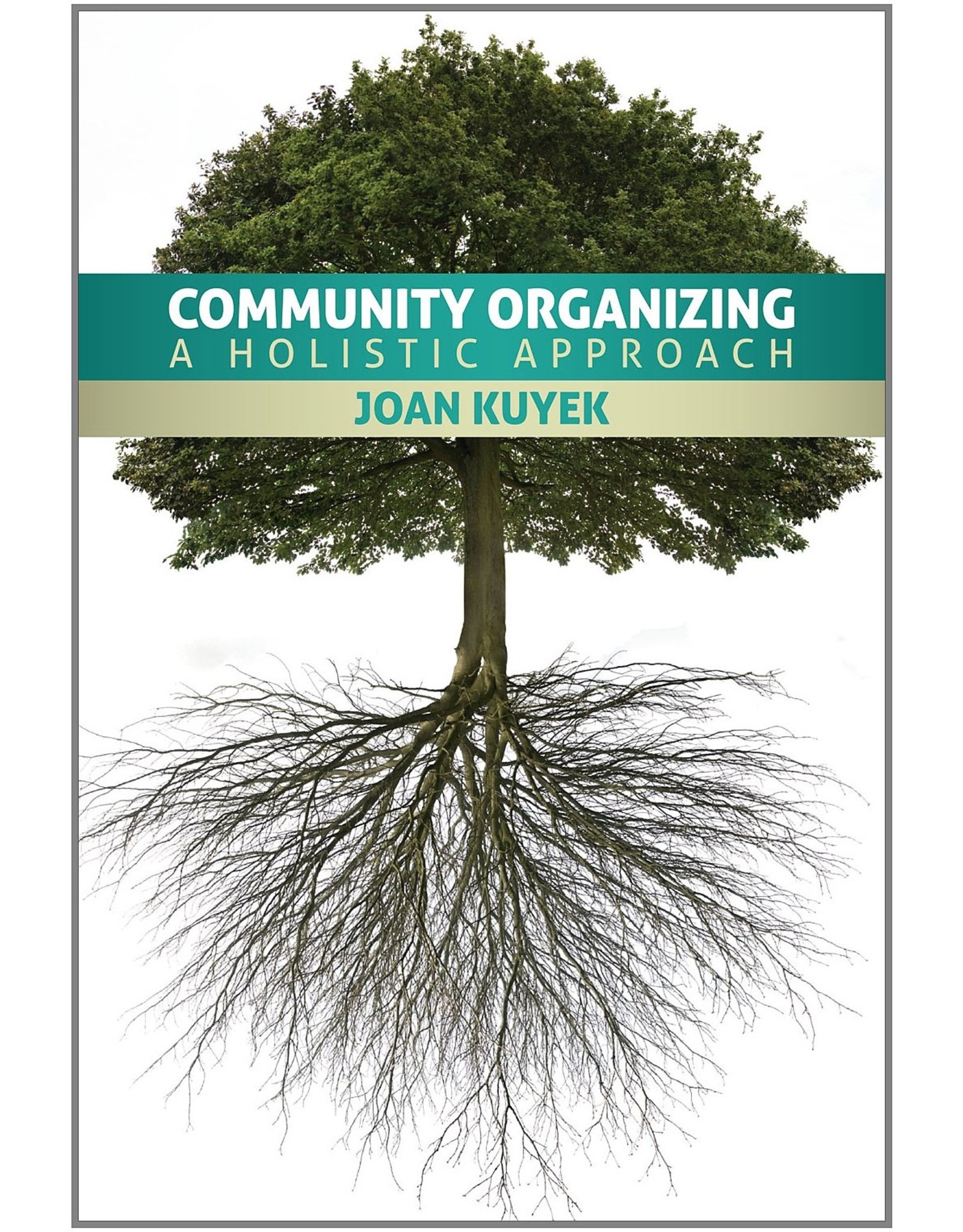 Textbook Community Organizing: A Holistic Approach